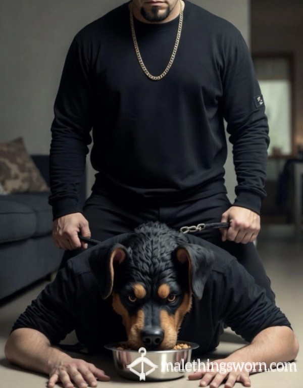 🐾🐶 PUP Training Custom Video - 5 Mins 🐶🐾