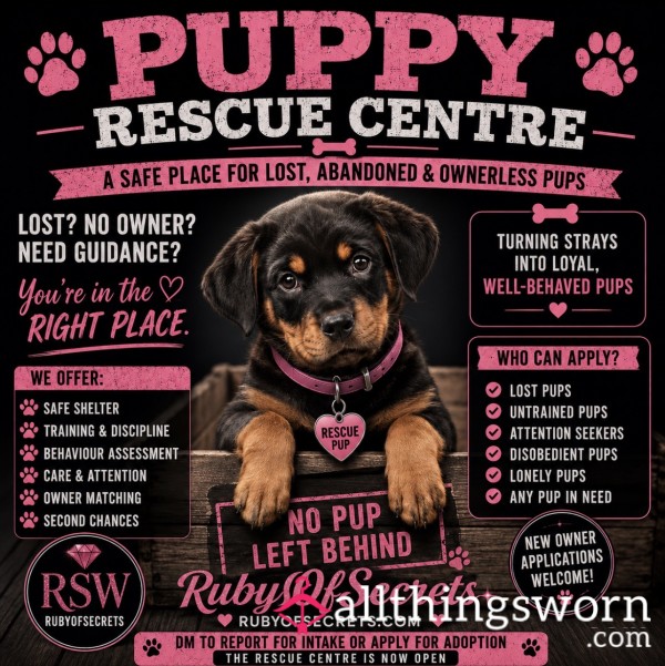 Puppy Rescue Centre Intake Open Virtual Pup Training Care & Adoption 🐶 🐕
