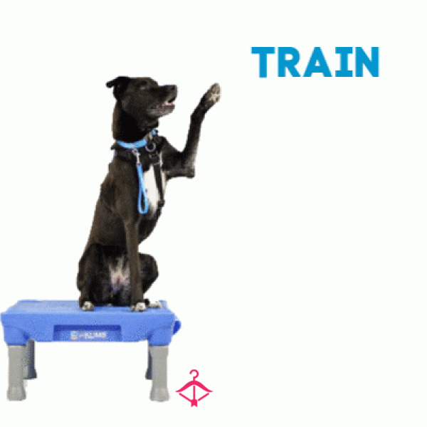 Puppy Training. Pay Per Week.