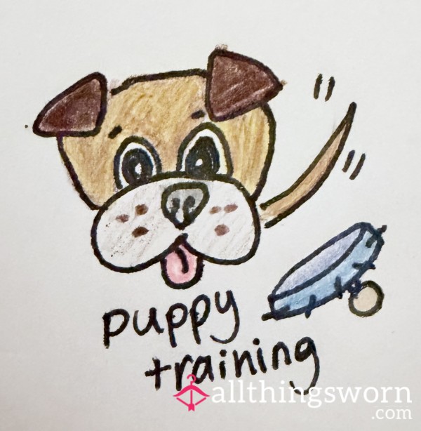 Puppy Training Session
