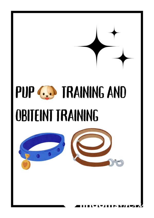Puppy Training The Queen Wants A New Pup To Train And Play With