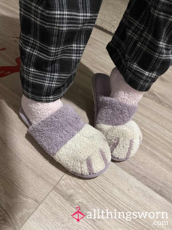 Purple Cat Style Worn Slippers!
