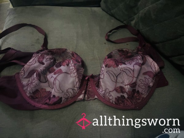 Purple Laced Bra