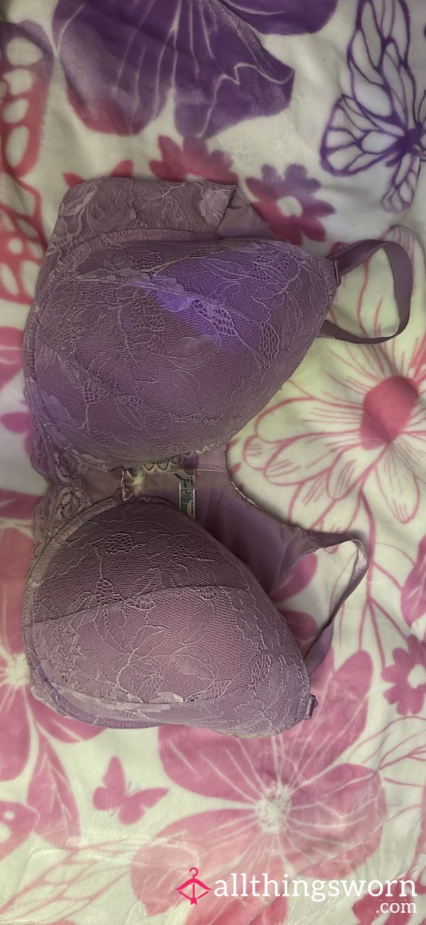 Purple Pastel Lace Bra