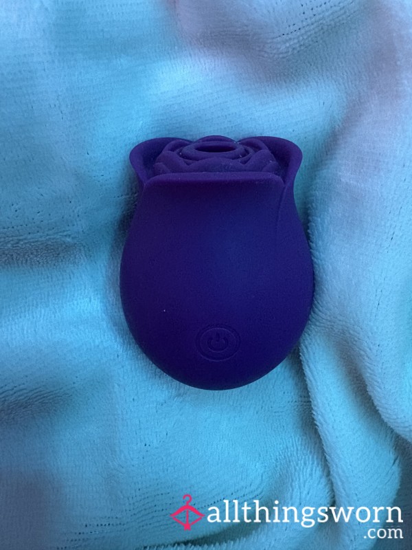Purple Rose Toy With No Charger Used Please Help Me Buy A New One