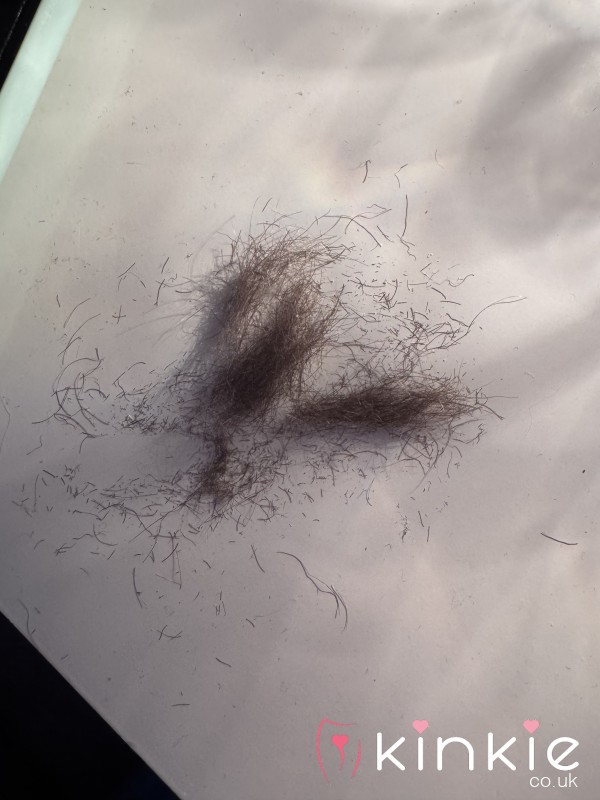 Pu**y Hairs