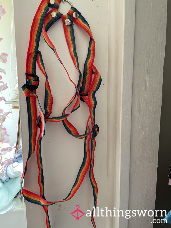 Rainbow Strap-On Belt - Used For Pegging My Ex Roommate & F**king His GF