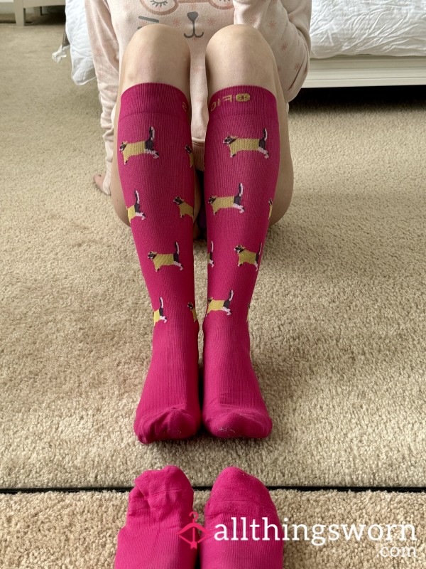 Raincoat Cats Compression Socks