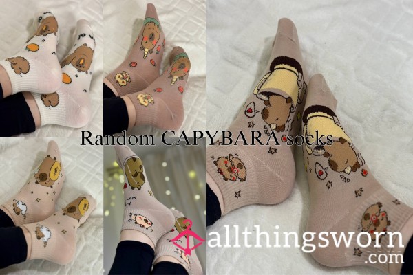 Random Capybara Socks🧦
