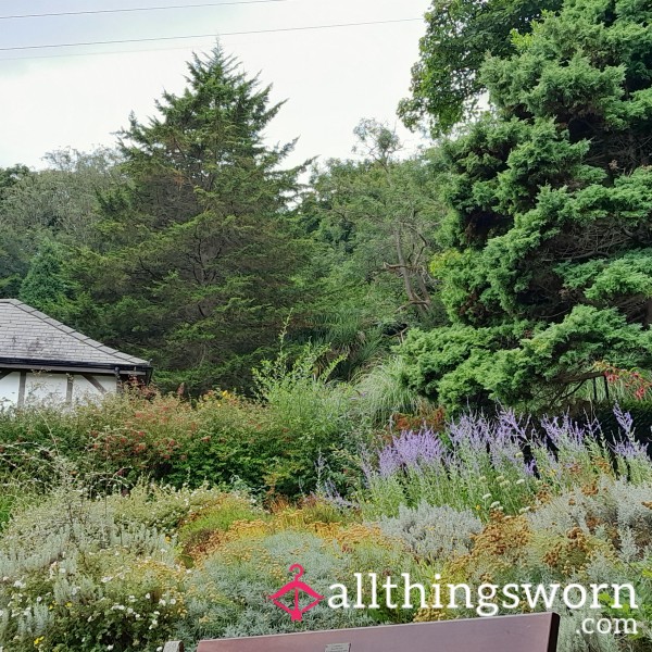 Random Phone Pictures For The Pervs !