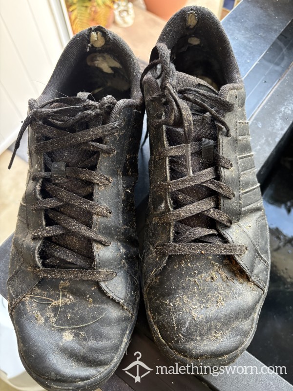 Rank Trainers Used For Work