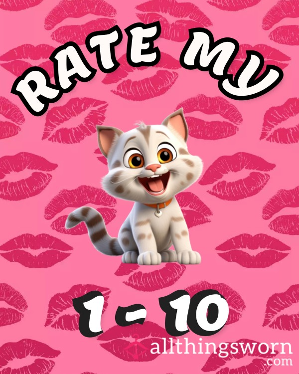 Rate My Cat!!😸