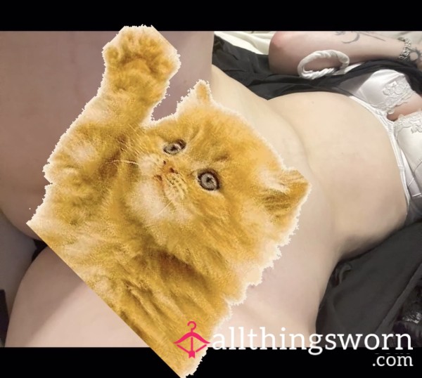 RATE MY Pu**y 🐱🫣