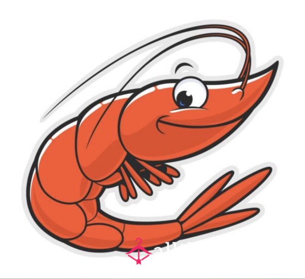 🍤  Rating