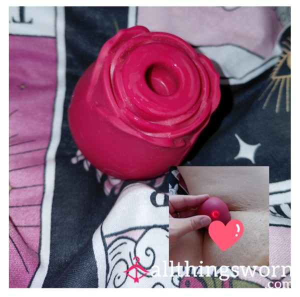 Raven Played With Her Rose
