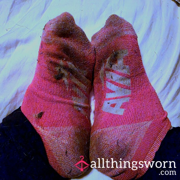 READY TO SHIP | 6 Day Wear | Pink Cushioned Avia Gym Socks