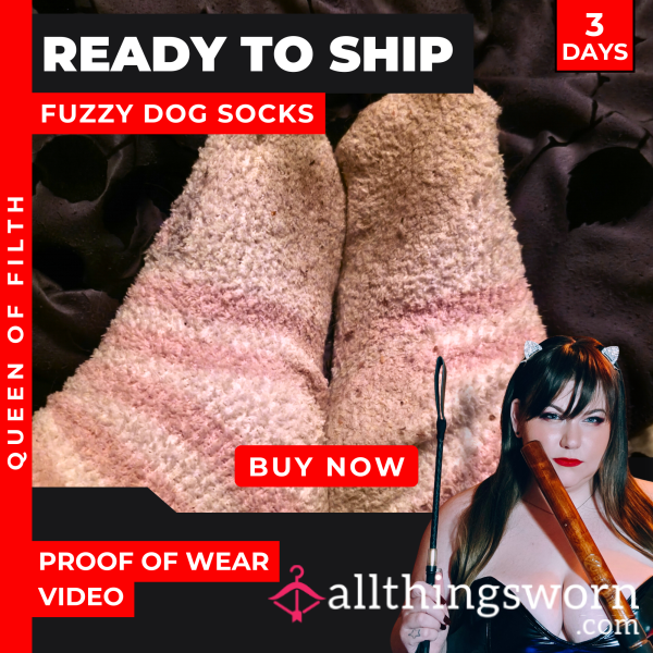 READY TO SHIP | Filthy Fuzzy Dog Socks | 3 Day Wear With Video