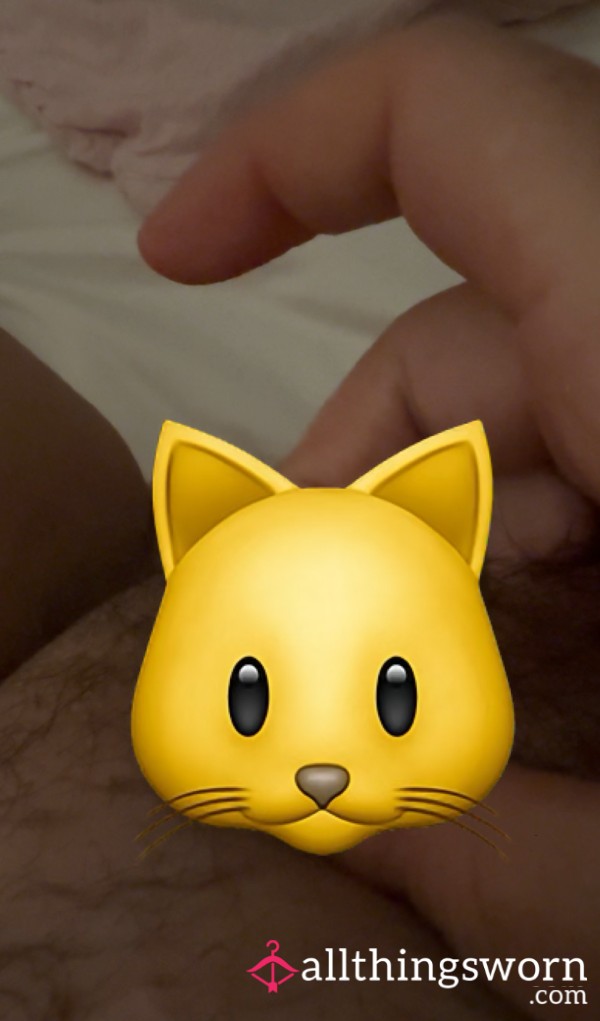 Really Hairy 🐱 Over 3 Month’s Growth