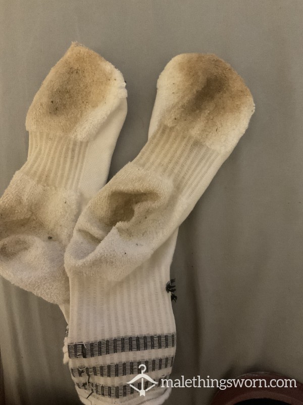 Really Rank Adidas Socks