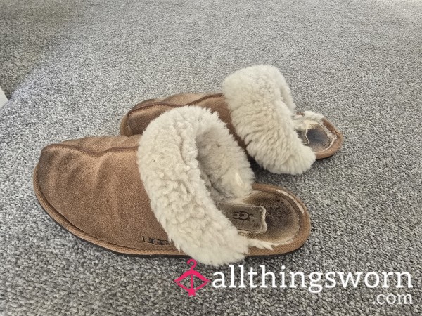 Really Smelly Old Ugg Slippers