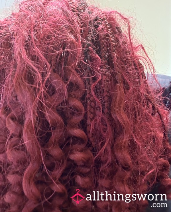 Red 6 Week Old Braids