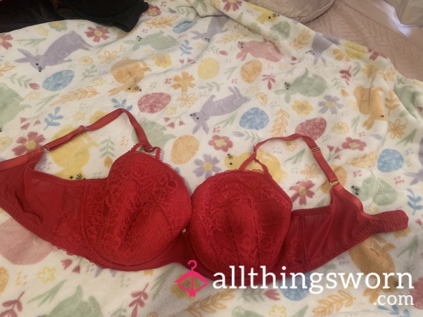 Red Bra Used