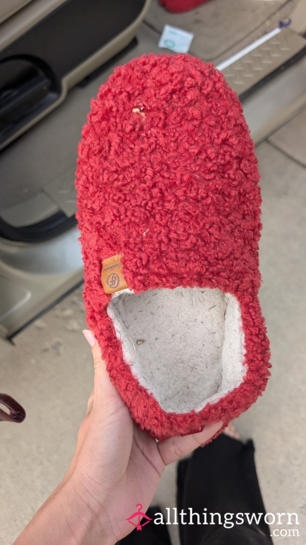 Red Fuzzy Slippers