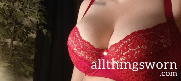 Red Lace Bra