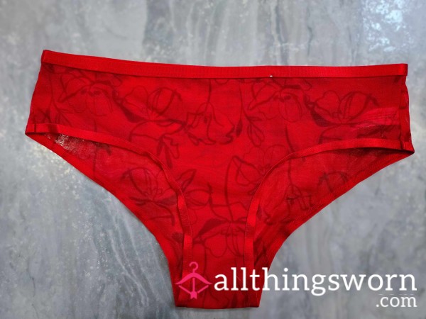 Red Mesh Bikini Panties ❤︎₊ ⊹