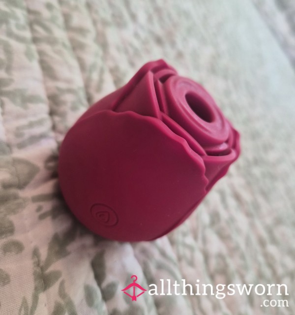 Red Rose Toy With 5 Min Video