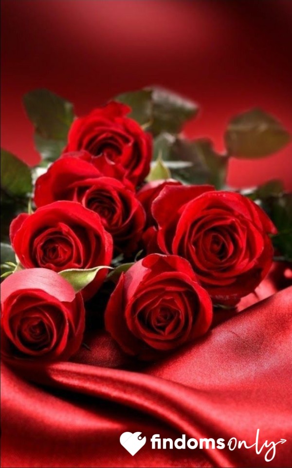 Red Roses 🌹.... Goddess Loves Red Roses 🌹 Especially A Large Bunch ❤️