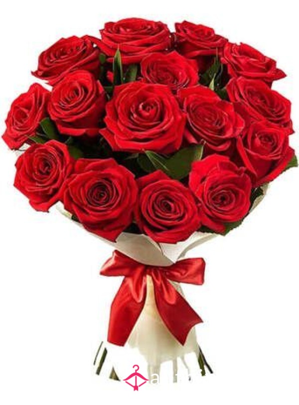 🌹RED ROSES/FLOWERS🌹