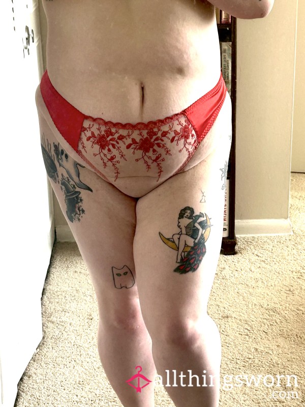 Red Satin & Embroidered Mesh Panty
