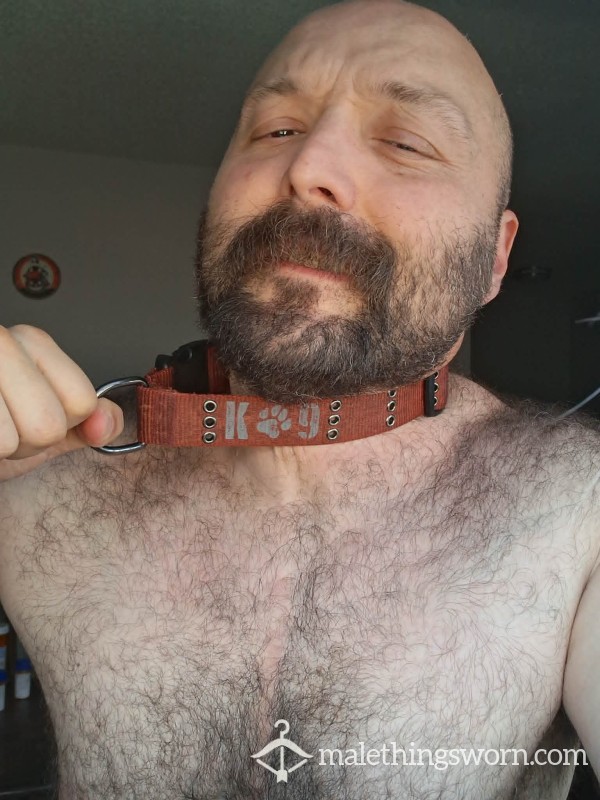 Red Soft Dog Collar