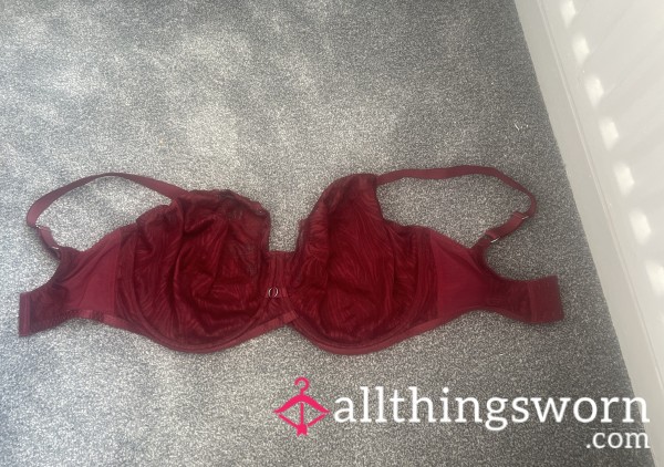 Red Zebra Print Bra…one Of My Favourites!