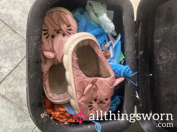 Rescue These P**r Kittens From The Bin