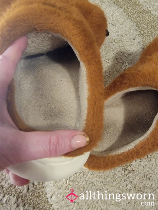 Retired Slippers. Crushed, Stained, And Claimed