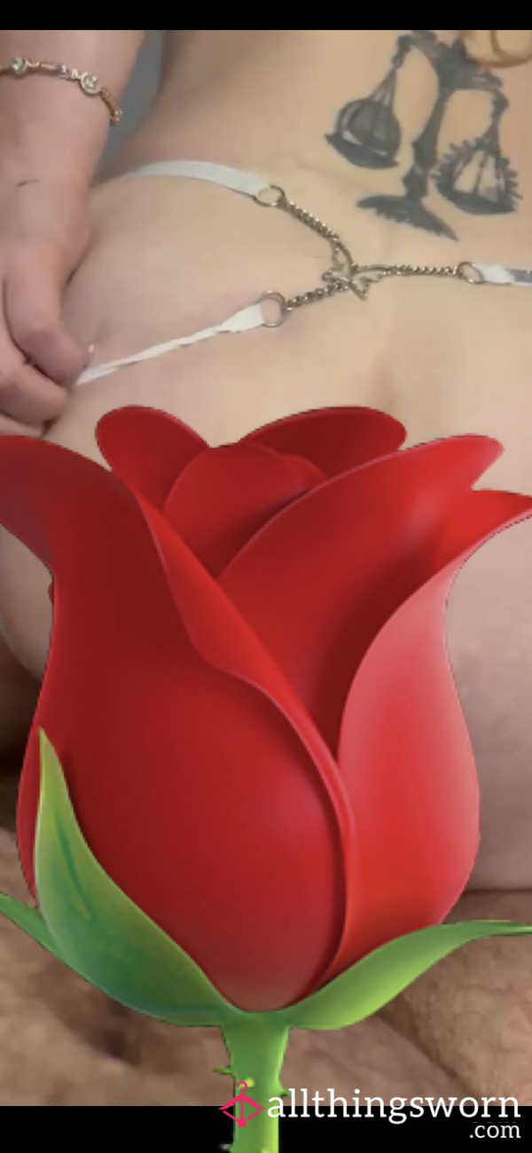 Reverse Cowgirl 🤠… Watch Me Ride His Big C*ck