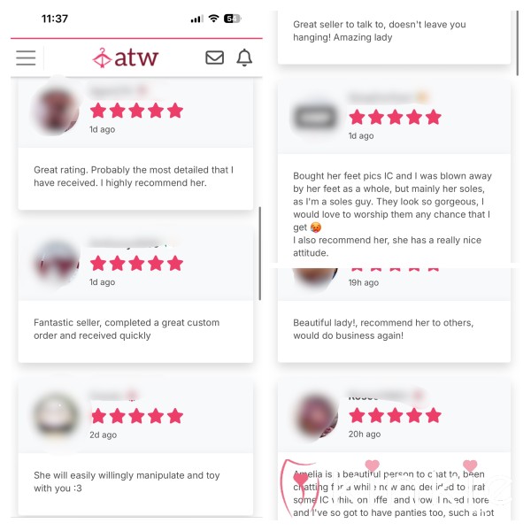 Reviews On All Things Worn