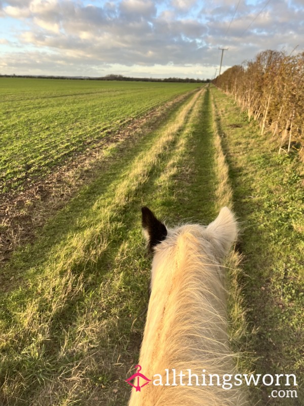 Ride And Stable Tease