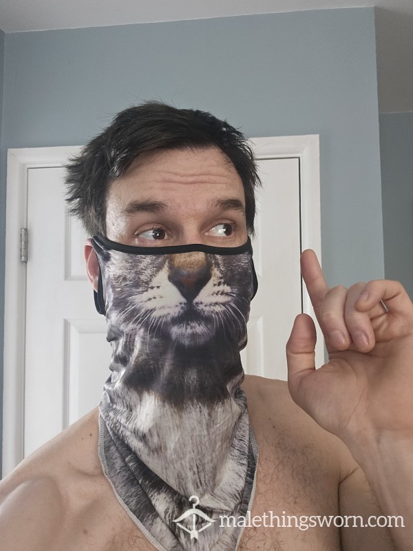 Ridiculous Cat Mask
