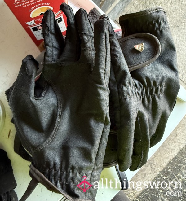 Riding Gloves