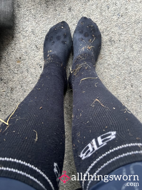 Riding Socks