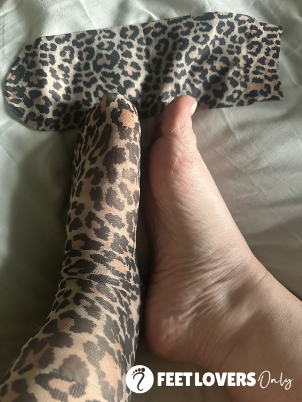 Roar Animal Print Socks