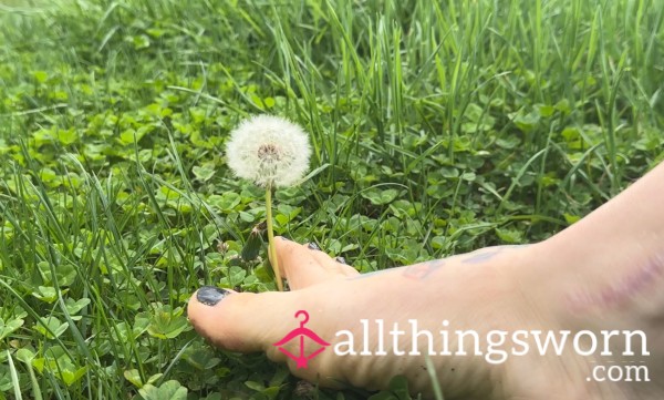 Role Play Toes, Dandelion