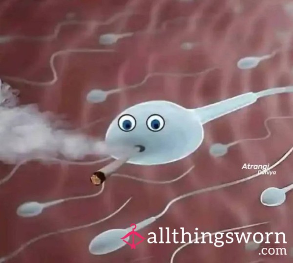 Roll Up With Me 🍃✨