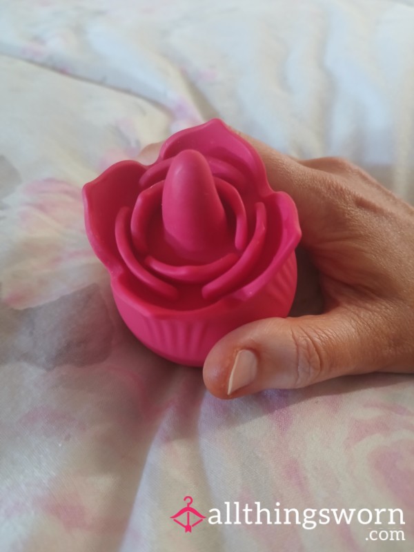 Rose 🌹