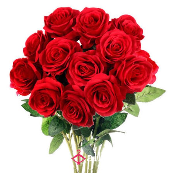 Roses Are A Girls Best Friend 🥺