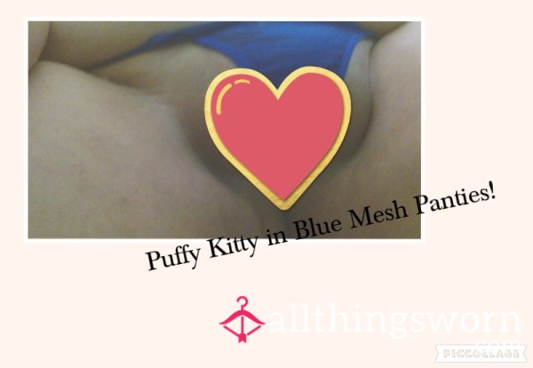 Royal Blue Mesh G String Thong! ON SALE
