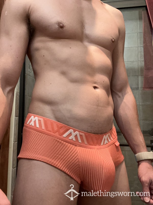 Salmon LVW Briefs